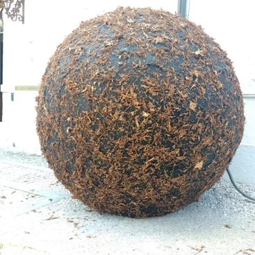 The presence of sphere
