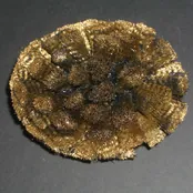Sculpture G, photo 2 of 2